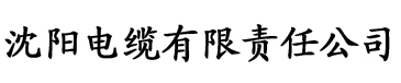 欧美一级A人爱视频电缆厂logo